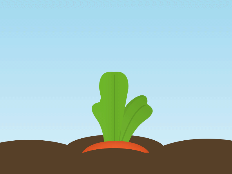 Carrot animation carrot cute gardening