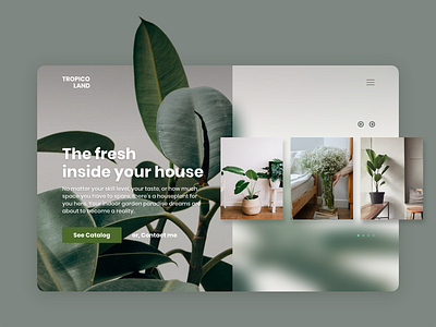 Modern Landing Page with Tropical Style landing page landing page design tropical wordpress template