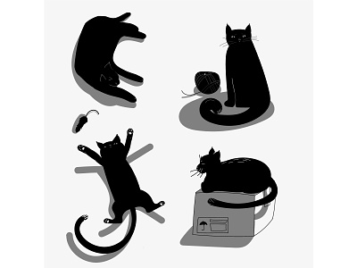 Just a cat 2d animals blackwhite cat cute illustration vector