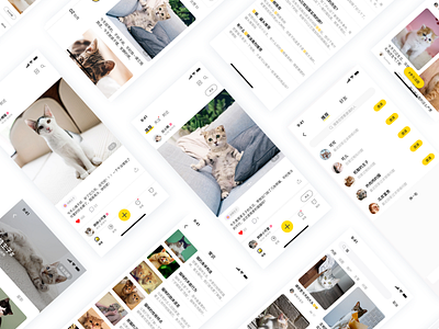 喵屋app界面 interface interface design