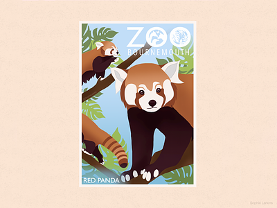 Red Panda Zoo Poster animal illustration childrens book design student flat design gift shop poster kids illustration nature illustration poster design red panda wildlife art zoo park