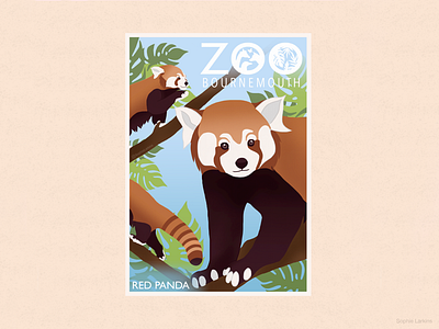 Red Panda Zoo Poster