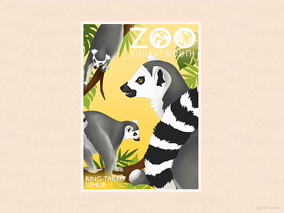Bournemouth Zoo - Fun Lemur Poster