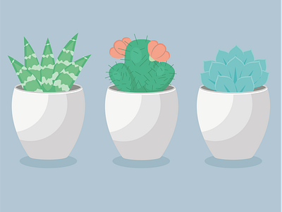 Planty: A Trio of Succulents graphic design illustration plants succulent succulents