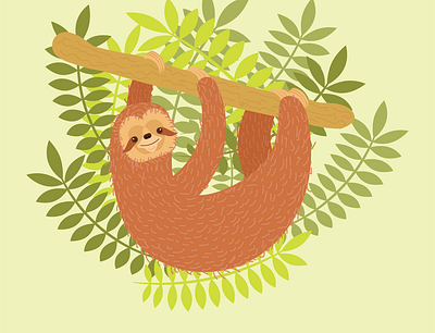 Sloth animal cute animal illustration sloth sloths
