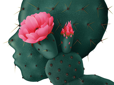 Cactus 2d anano botanical cactus face floral flower illustration plants portrait texture vector