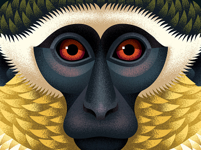 Green Monkey adobe anano animal chimp close up face illustration monkey portrait texture vector