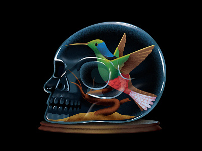 The New York times - Book Review bird book editorial glass hummingbird illustration skull taxidermy thenewyorktimes thrille