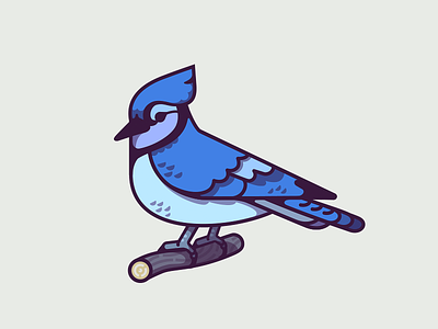 Blue Jay bird blue blujay branch cute illustration jay strokes tattoo tree