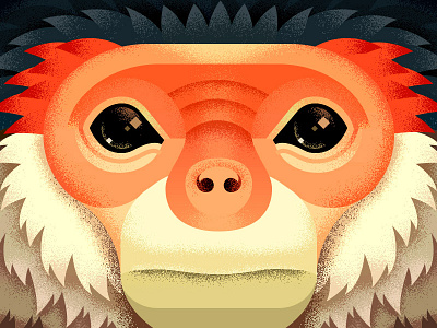 The Douc anano animal close up douc face geometric grumpy monkey sad texture