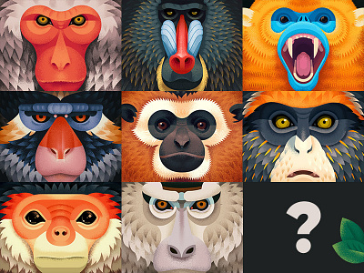 Old World Monkeys anano animals behance dissolve illustration monkeys primates texture