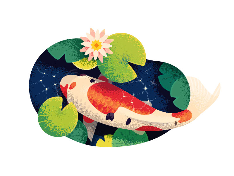 🔴 Koi japanese japan flora nature illustration texture flat 2d koi fish pond anano