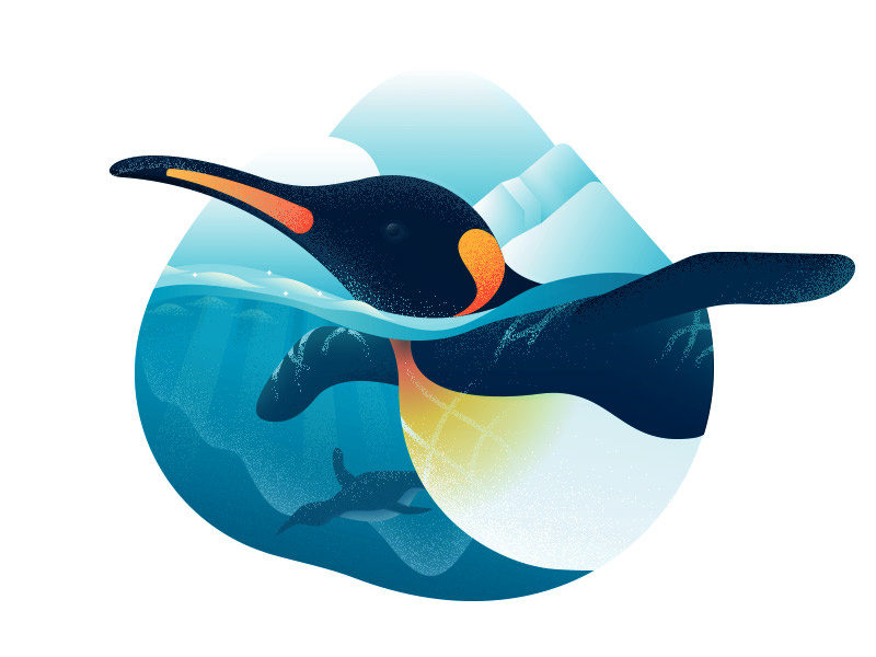 Penguin snow cold ice penguin animal animals texture flat anano