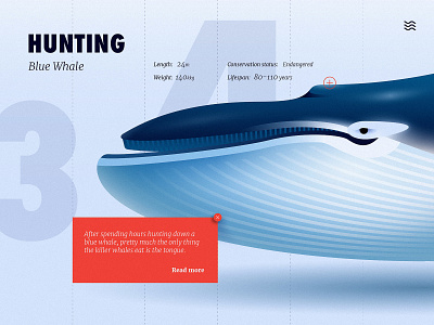 Blue whale adobe anano animal close up cute design gradient illustration ui ux vector