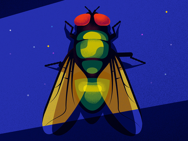 Green fly by Ana Miminoshvili on Dribbble