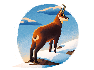 Chamois in snow 2d anano animal animals book chamois childrensbook design illustration snow texture