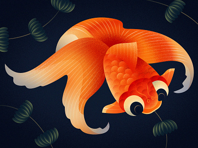 Goldfish close-up by Ana Miminoshvili on Dribbble