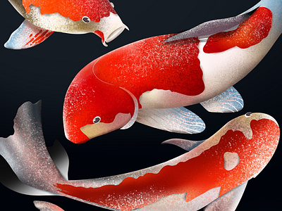 something fishy digital art illustration japan koi fish
