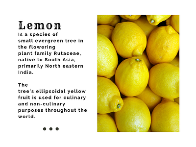 Sicilian Lemon - Templates app branding canva clean design facebook fotografia instagram minimal simple socialmedia templates typography web website