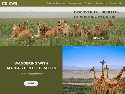 KWS Landing Page Redesign Concept branding design kenya kws minimal typography ui ui design ux ux design web design