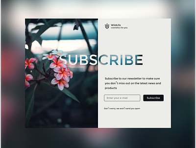 Daily UI 026 - Subscribe dailyui design figma subscribe ui