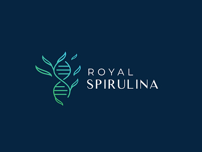 Royal Spirulina Case Study algae brand agency brand identity design branding branding design branding project casestudy clean food green health leaf logodesign medical minimal modern plant royal spirulina startup