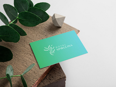 Royal Spirulina Business Card algae app logo brand application brand design brand identity branding branding agency branding design case study food health logo logo design logodesign modern logo spirulina start up company logo tech logo