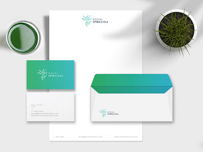 stationery 2 brand identity branding branding agency case sturdy food gradient green health logo logodesign medical modern spirulina