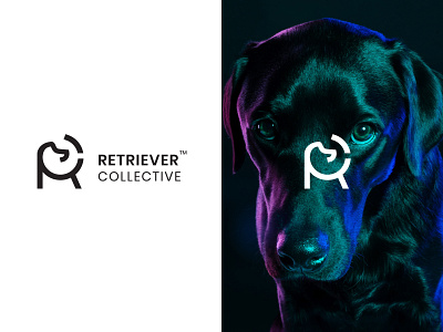 Retriever Collective - Dog Training logo brand identity design branding branding agency c logo creative logo dog care logo dog logo dog train logo letterbase logo logo logo design pet care logo pet logo pet train logo r logo rc logo