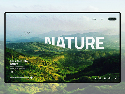 Nature UI Design design illustration typography ui web