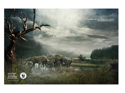 WWF branding design illustration illustration vector art typography vector