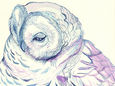 Owl Illustration brush drawing drawn illustration ink