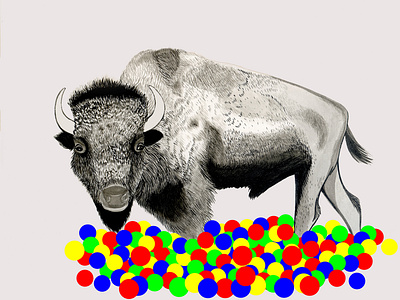Bison in a ball pit