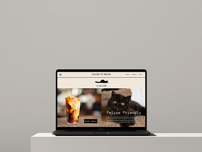 House of Meow - concept for a cat café branding graphic design logo design web