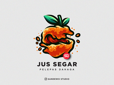 Fruit Juice Character Logo Design