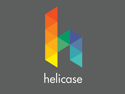 We are Helicase agency brand identity first shot geometric helicase logo ux