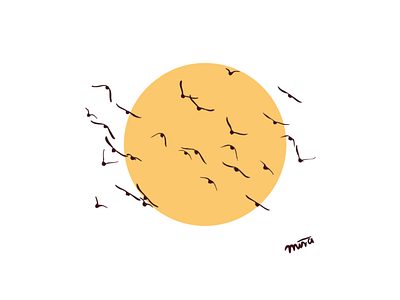 Borrowed Peace art birds borrow hobby illustration migration peace procreate sun