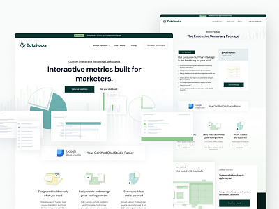 Data Stacks Quick peek brand branding dashboard design landing page logo typography ui webflow website