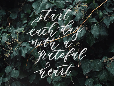 Start each day with a grateful heart brush calligraphy calligraphy hand lettering lettering script typography unsplash