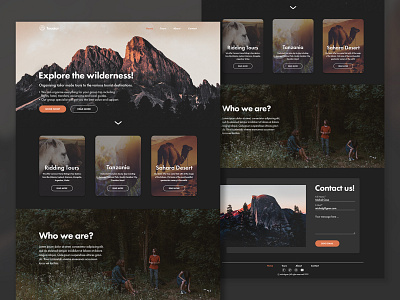 Travel Website | Landing Page Concept adobe branding clean landing page layout mountain travel trips ui uidesign web website