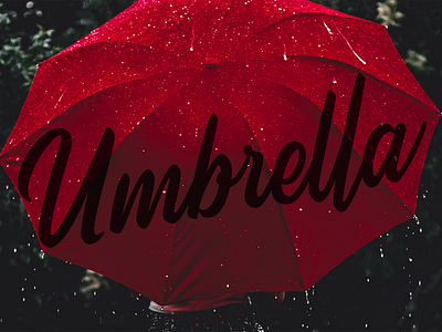 Umbrella branding brush font design font design fonts typeface typography