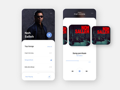 006 - Music Player Concept