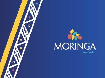 Moringa Logo branding design graphic design graphicdesign illustration logo logo design logodesign logos logotype