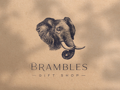Brambles Logo Versions behance brand identity branding branding identity graphic design identity design illustration logo