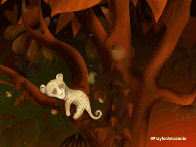 Amazonia amazonia animal art animation design illustration jungle motion design motiongraphics vector