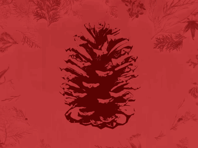 Pinecones | Holiday Daily Project | 2018 ae after effects animated animation holidays mograph motion graphics photo photoshop pine pinecone trees