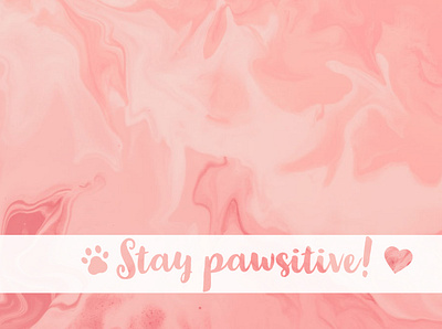 Stay Pawsitive design illustration positivity typography wallpapers