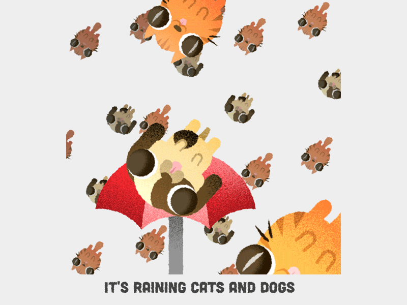 It s raining cats. Raining Cats and Dogs. It's raining Cats and Dogs. Дождь из кошек. Идиомы английский its raining Cats and Dogs.