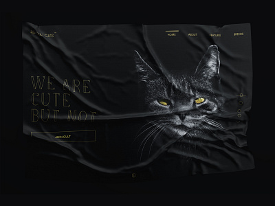 Cult Cats animals black cats popular simple ui ux website