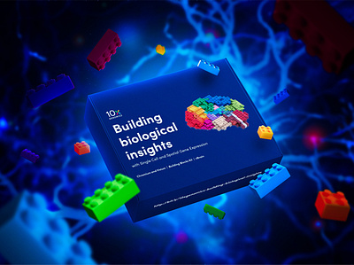 10x Genomics Lego Brain Giveaway biotech blocks brain composite genomics healthcare illustrations lego lighting neuron packaging photoshop toys
